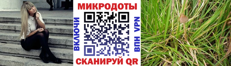 Псилоцибиновые грибы Magic Shrooms  купить   Андреаполь 