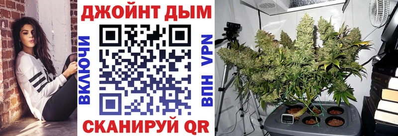 наркотики  Андреаполь  Шишки марихуана THC 21% 